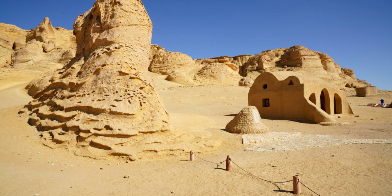 Vente immobilière & information des conseillers : le retour du (djé)-bail ⋆⭒🪐❌📄