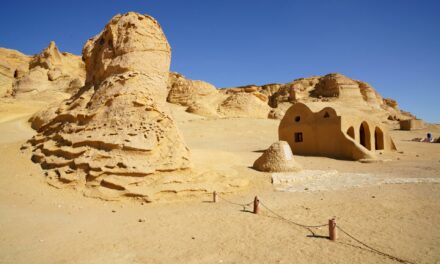 Vente immobilière & information des conseillers : le retour du (djé)-bail ⋆⭒🪐❌📄