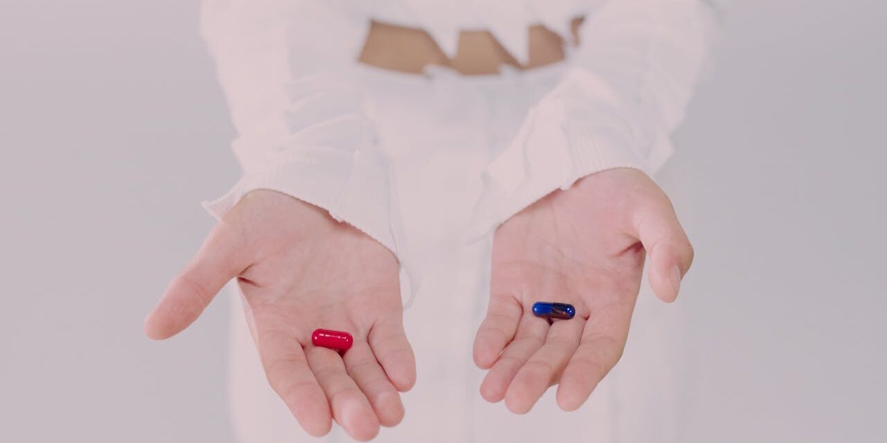 DSP vs Bail commercial : suivez le lapin blanc 🕳️🐇