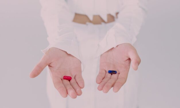 DSP vs Bail commercial : suivez le lapin blanc 🕳️🐇